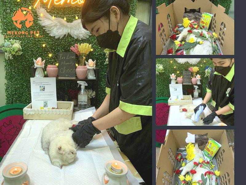 Quy trình được thực hiện bài bản, chuyên nghiệp tận tâm, báo cáo rõ ràng